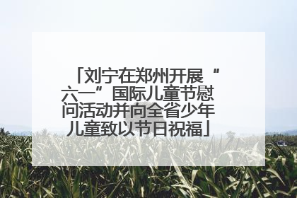 刘宁在郑州开展“六一”国际儿童节慰问活动并向全省少年儿童致以节日祝福