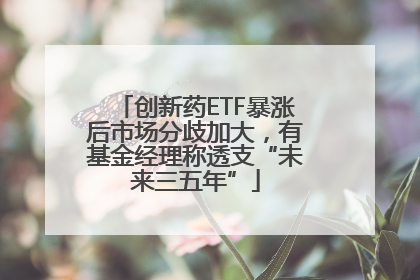 创新药ETF暴涨后市场分歧加大，有基金经理称透支“未来三五年”