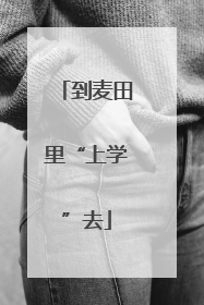 到麦田里“上学”去