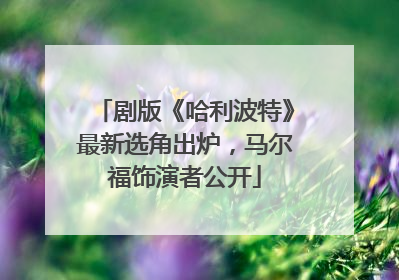 剧版《哈利波特》最新选角出炉，马尔福饰演者公开