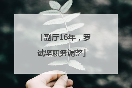 副厅16年，罗试坚职务调整
