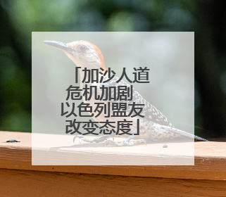 加沙人道危机加剧 以色列盟友改变态度