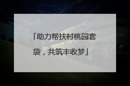 助力帮扶村桃园套袋，共筑丰收梦