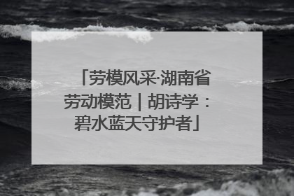 劳模风采·湖南省劳动模范｜胡诗学：碧水蓝天守护者