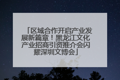 区域合作开启产业发展新篇章！黑龙江文化产业招商引资推介会闪耀深圳文博会