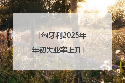 匈牙利2025年年初失业率上升