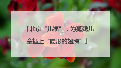 北京“儿福”：为孤残儿童插上“隐形的翅膀”