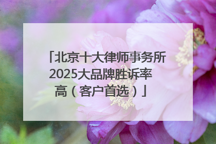 北京十大律师事务所2025大品牌胜诉率高（客户首选）