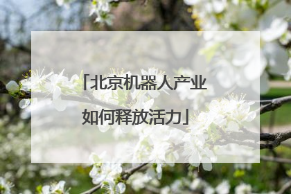 北京机器人产业如何释放活力