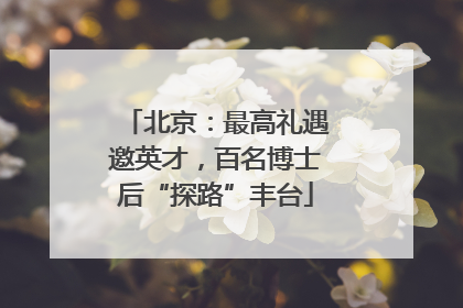 北京：最高礼遇邀英才，百名博士后“探路”丰台