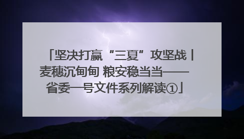 坚决打赢“三夏”攻坚战丨麦穗沉甸甸 粮安稳当当——省委一号文件系列解读①