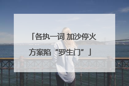 各执一词 加沙停火方案陷“罗生门”