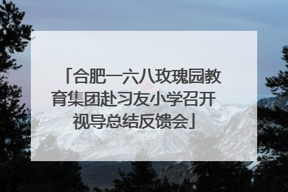 合肥一六八玫瑰园教育集团赴习友小学召开视导总结反馈会