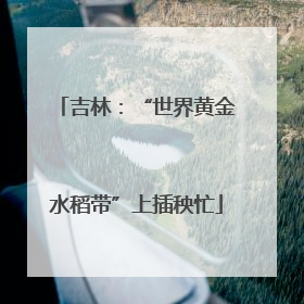 吉林：“世界黄金水稻带”上插秧忙