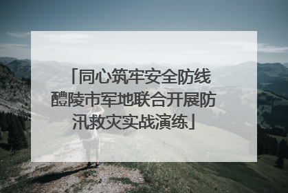 同心筑牢安全防线 醴陵市军地联合开展防汛救灾实战演练