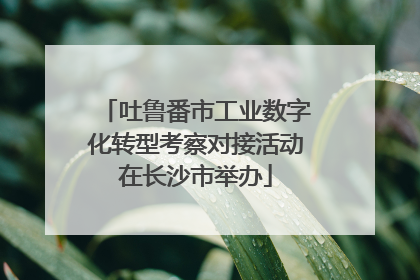 吐鲁番市工业数字化转型考察对接活动在长沙市举办
