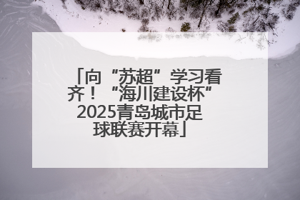 向“苏超”学习看齐！“海川建设杯”2025青岛城市足球联赛开幕