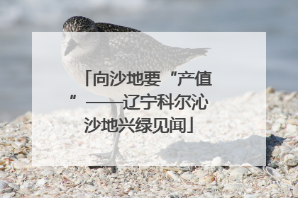 向沙地要“产值”——辽宁科尔沁沙地兴绿见闻
