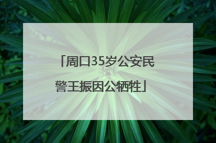 周口35岁公安民警王振因公牺牲