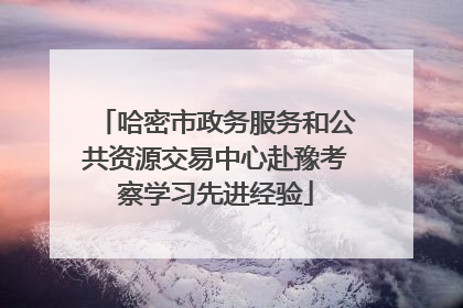 哈密市政务服务和公共资源交易中心赴豫考察学习先进经验