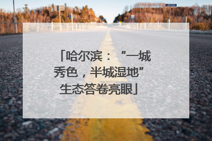 哈尔滨：“一城秀色，半城湿地”生态答卷亮眼