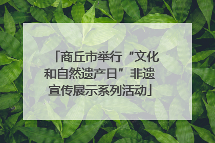 商丘市举行“文化和自然遗产日”非遗宣传展示系列活动