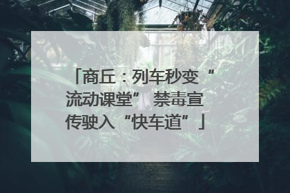 商丘：列车秒变“流动课堂” 禁毒宣传驶入“快车道”