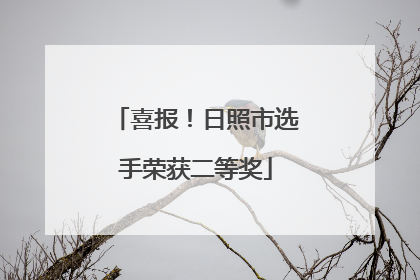 喜报！日照市选手荣获二等奖