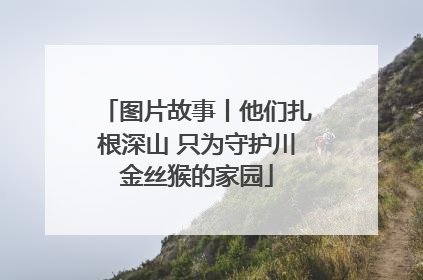 图片故事丨他们扎根深山 只为守护川金丝猴的家园