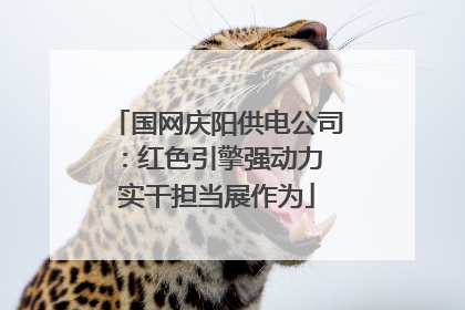 国网庆阳供电公司：红色引擎强动力 实干担当展作为