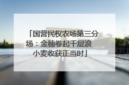 国营民权农场第三分场：金穗卷起千层浪 小麦收获正当时
