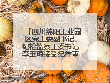 四川绵阳工业园区党工委副书记、纪检监察工委书记李玉琼接受纪律审查和监察调查