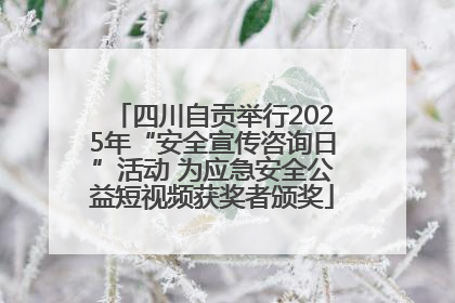 四川自贡举行2025年“安全宣传咨询日”活动 为应急安全公益短视频获奖者颁奖