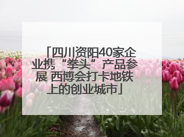 四川资阳40家企业携“拳头”产品参展 西博会打卡地铁上的创业城市
