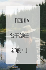 四川5名干部任新职！