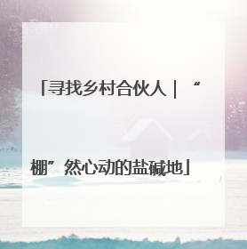 寻找乡村合伙人｜“棚”然心动的盐碱地