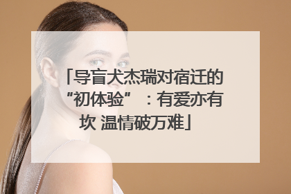 导盲犬杰瑞对宿迁的“初体验”：有爱亦有坎 温情破万难