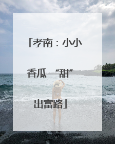 孝南：小小香瓜 “甜”出富路