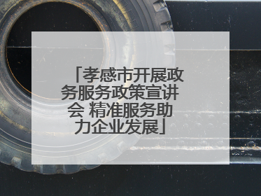 孝感市开展政务服务政策宣讲会 精准服务助力企业发展