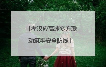 孝汉应高速多方联动筑牢安全防线