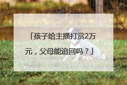 孩子给主播打赏2万元，父母能追回吗？