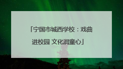 宁国市城西学校：戏曲进校园 文化润童心