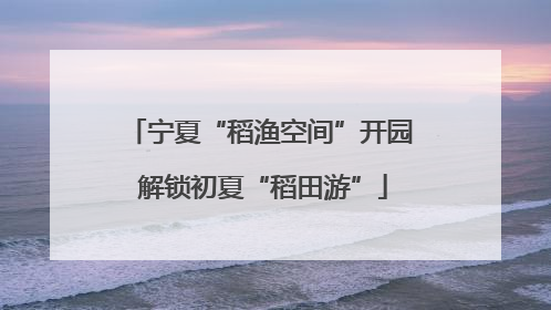 宁夏“稻渔空间”开园 解锁初夏“稻田游”