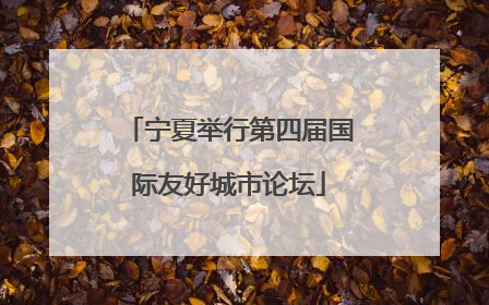 宁夏举行第四届国际友好城市论坛