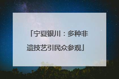 宁夏银川：多种非遗技艺引民众参观