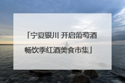 宁夏银川 开启葡萄酒畅饮季红酒美食市集