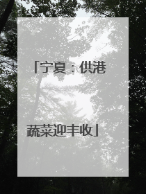 宁夏：供港蔬菜迎丰收