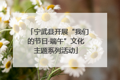 宁武县开展“我们的节日·端午”文化主题系列活动