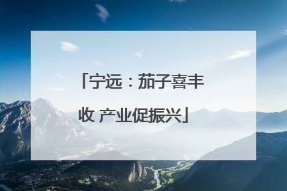 宁远：茄子喜丰收 产业促振兴