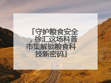 守护粮食安全，徐汇这场科普市集解锁粮食科技新密码